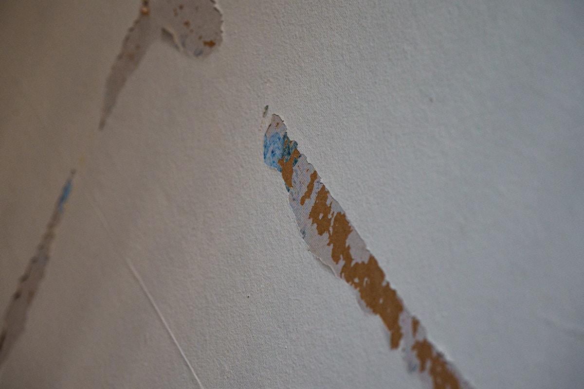 Storm Damage Repair service in West Valley City, UT